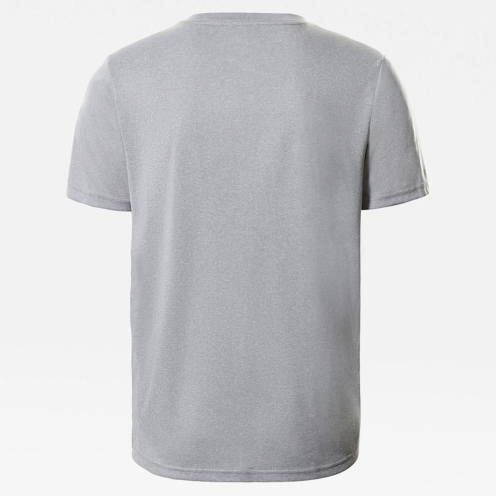 Tricko The North Face Reaxion Amp Panske Siva | UWS-413870