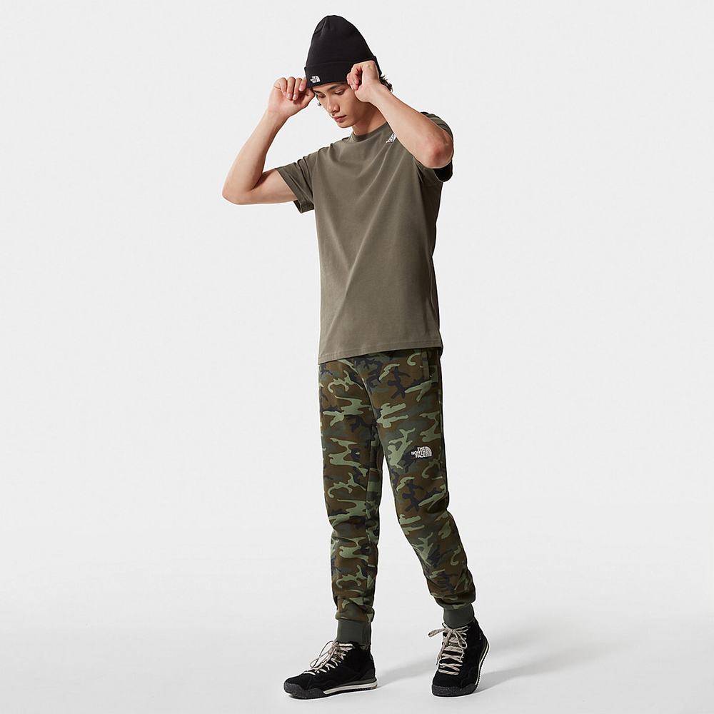 Tricko The North Face Redbox Celebration Panske Zelene Biele | CEN-740863