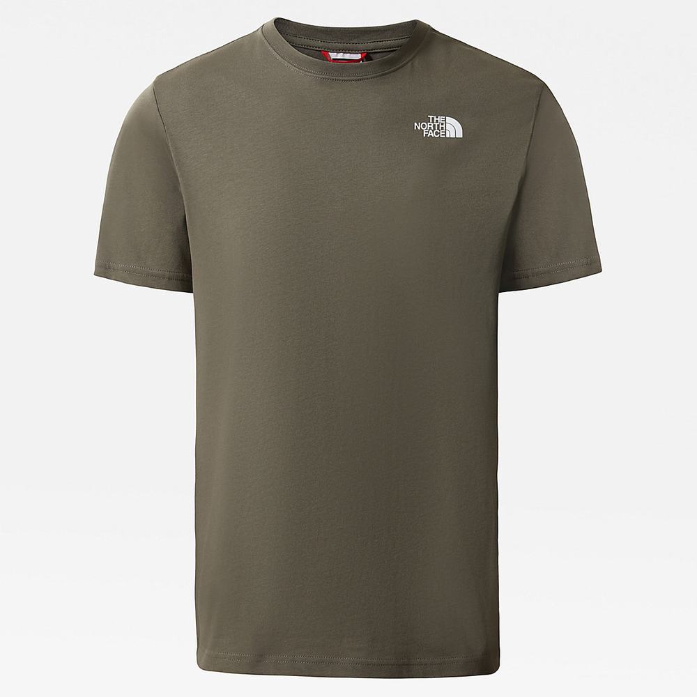 Tricko The North Face Redbox Celebration Panske Zelene Biele | CEN-740863