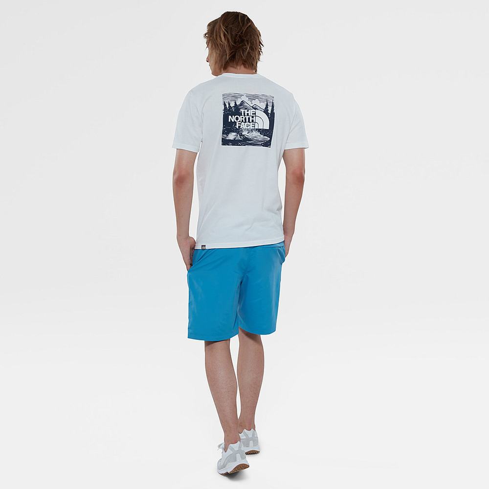 Tricko The North Face Redbox Celebration Panske Biele Námornícka Modrá | HSK-054628