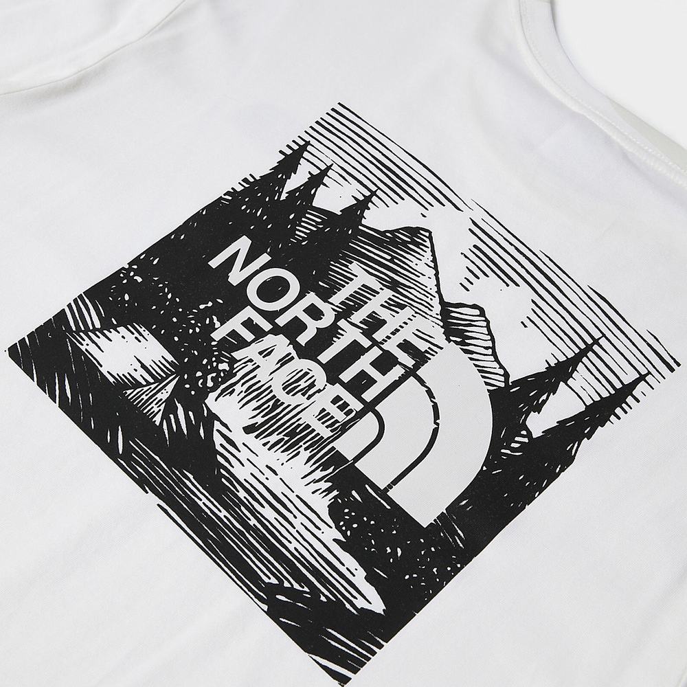Tricko The North Face Redbox Celebration Panske Biele | NAP-917035