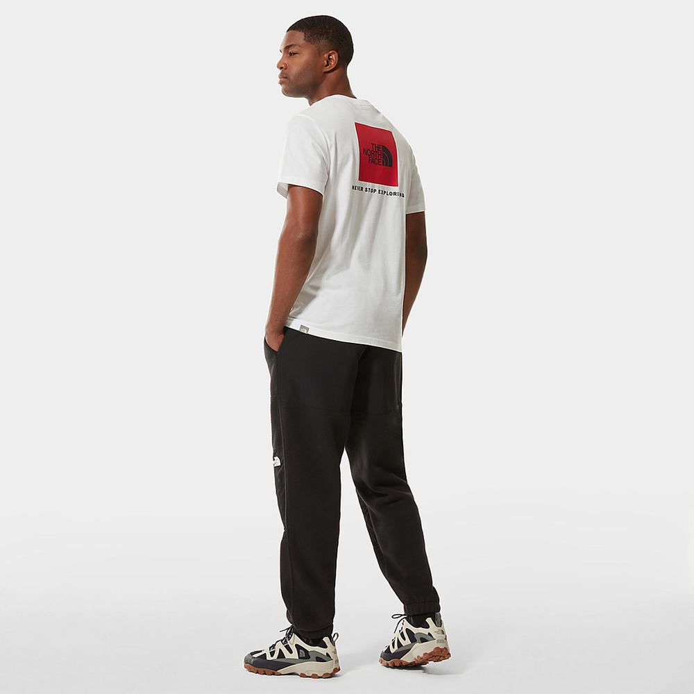 Tricko The North Face Redbox Panske Biele | MOC-291748