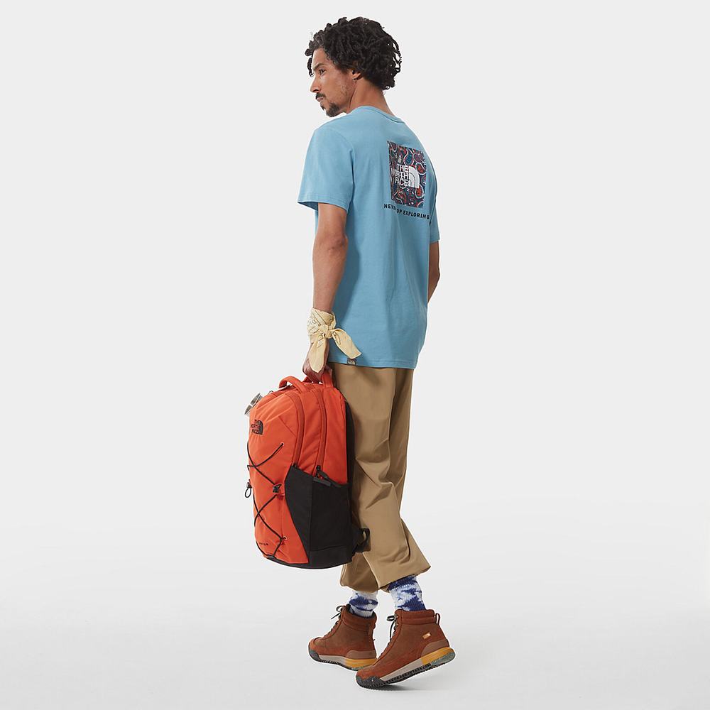 Tricko The North Face Redbox Panske Modre Siva | QGO-427983