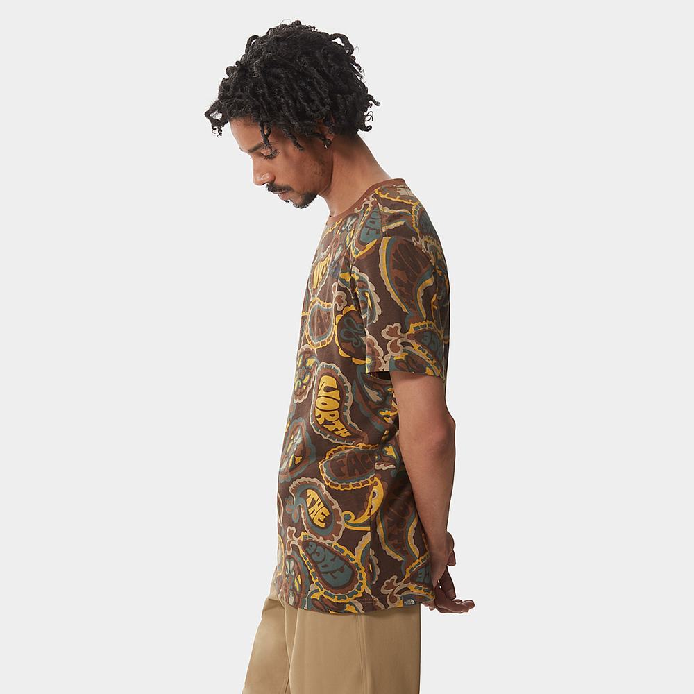 Tricko The North Face Redbox Panske Tmavo Zelene Hnede Siva | SAT-596471
