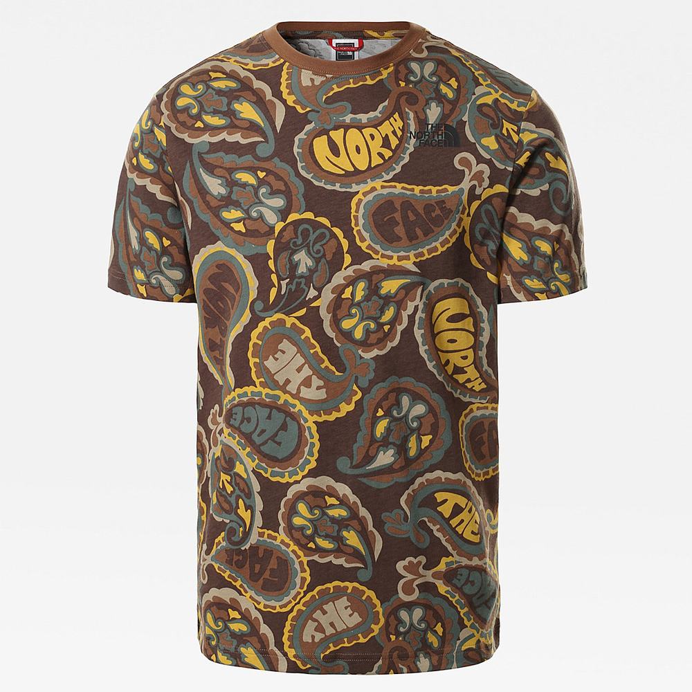 Tricko The North Face Redbox Panske Tmavo Zelene Hnede Siva | SAT-596471