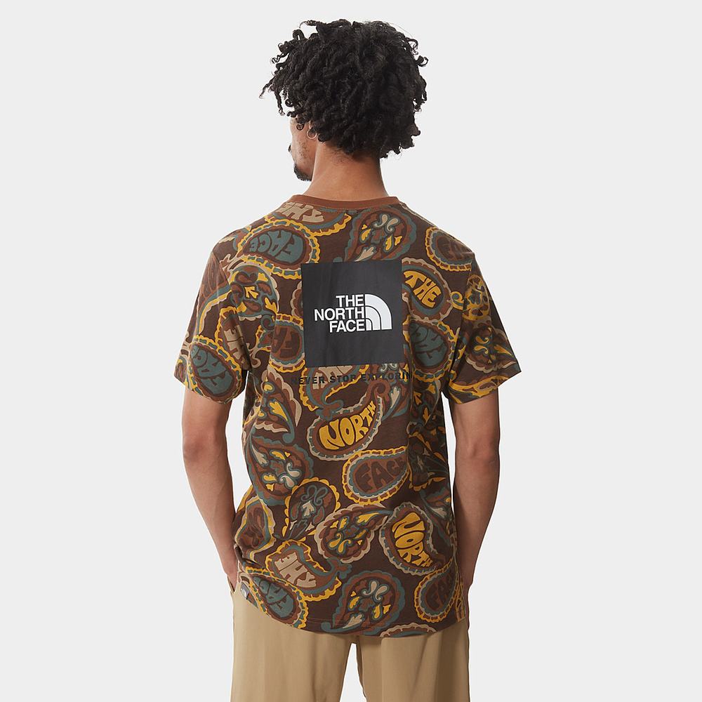 Tricko The North Face Redbox Panske Tmavo Zelene Hnede Siva | SAT-596471