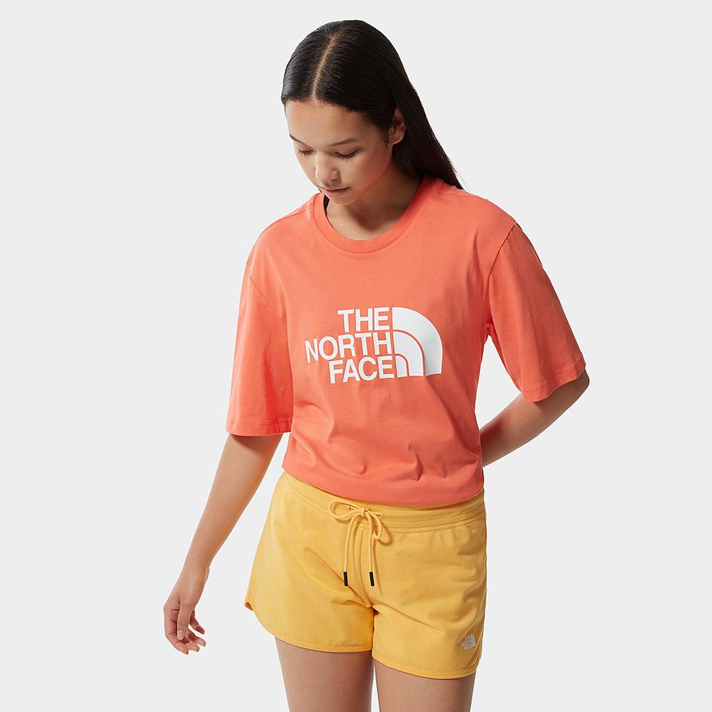 Tricko The North Face Relaxed Summer Damske Oranžové | HFD-598041