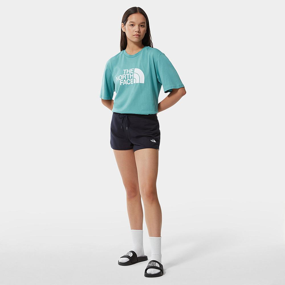 Tricko The North Face Relaxed Summer Damske Modre | QFM-615283