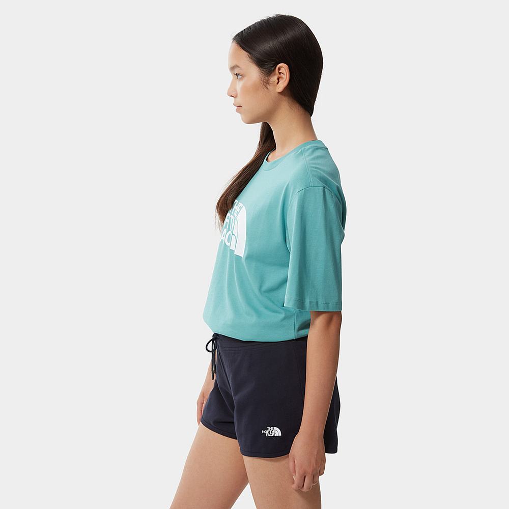 Tricko The North Face Relaxed Summer Damske Modre | QFM-615283