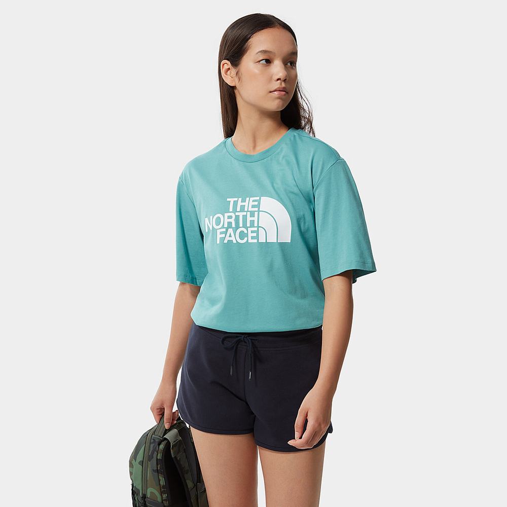 Tricko The North Face Relaxed Summer Damske Modre | QFM-615283