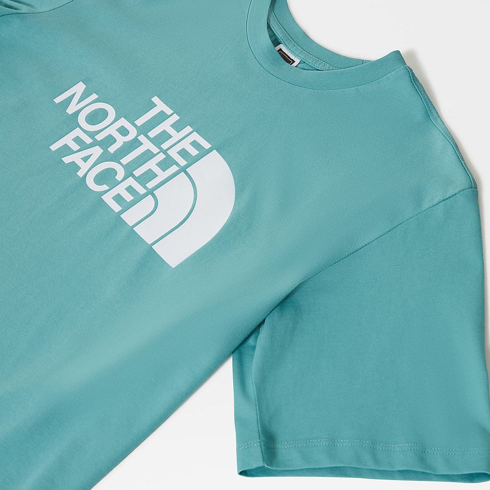 Tricko The North Face Relaxed Summer Damske Modre | QFM-615283