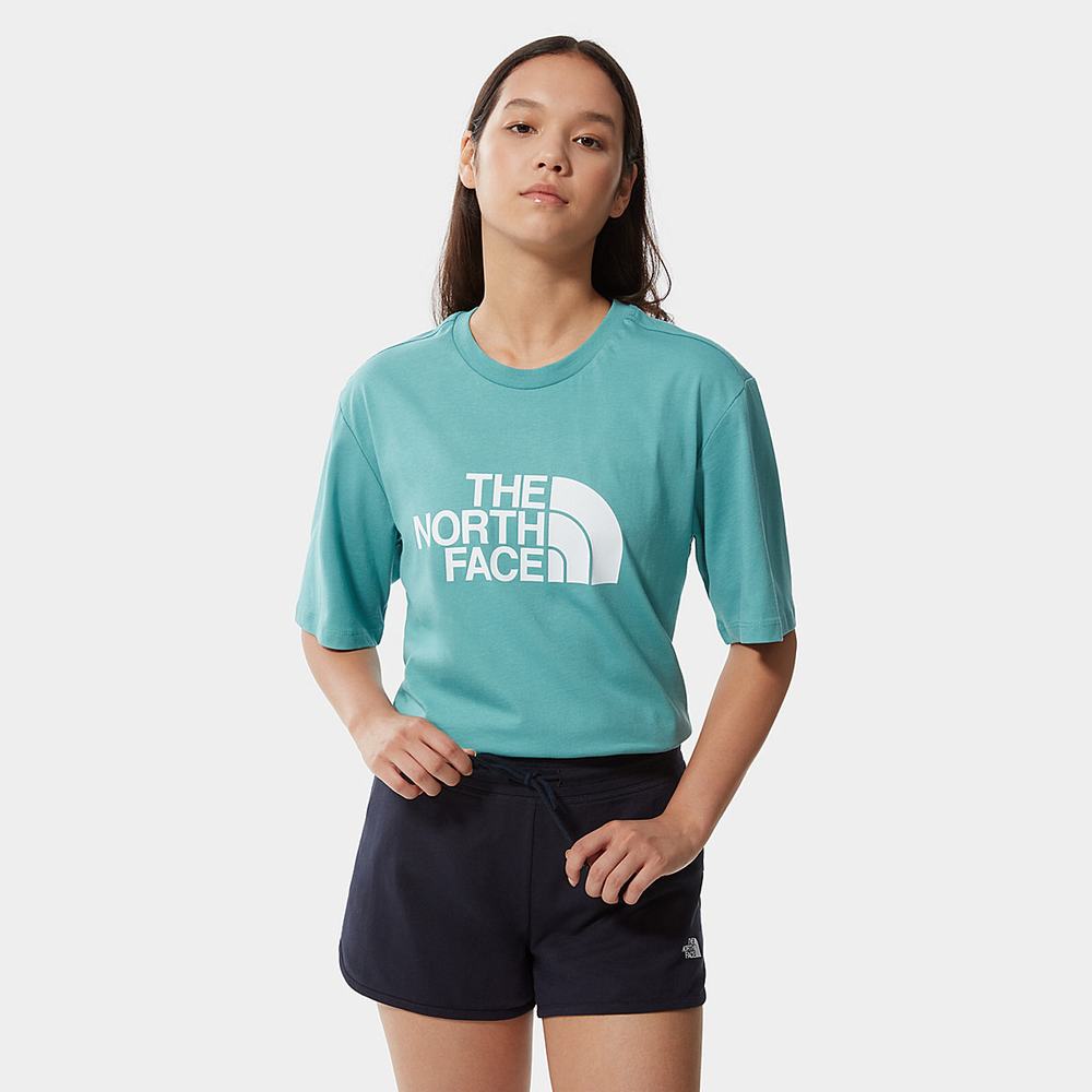 Tricko The North Face Relaxed Summer Damske Modre | QFM-615283