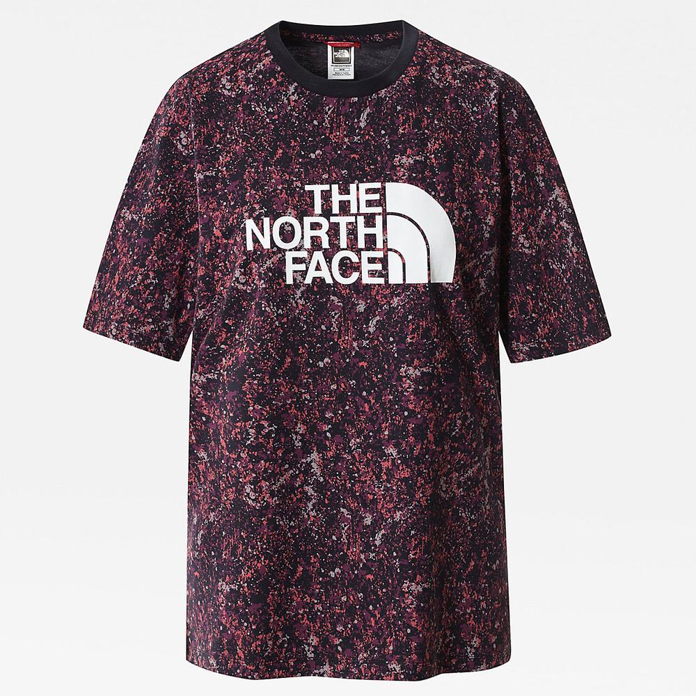 Tricko The North Face Relaxed Summer Damske Nachový | WEZ-683052