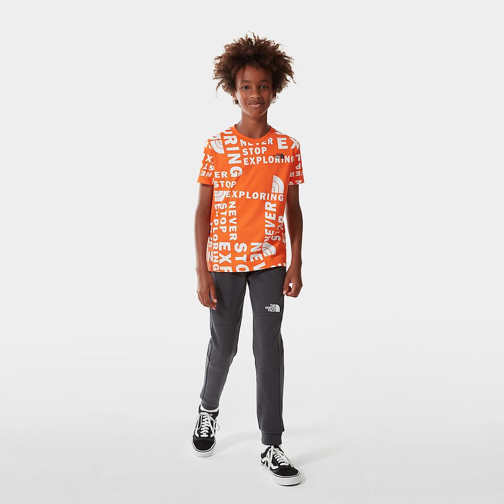 Tricko The North Face SIMPLE DOME Chlapcenske Červené Oranžové | GEQ-068253