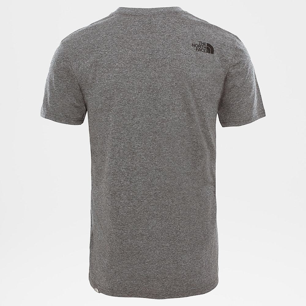 Tricko The North Face SIMPLE DOME Panske Siva | SVZ-071425