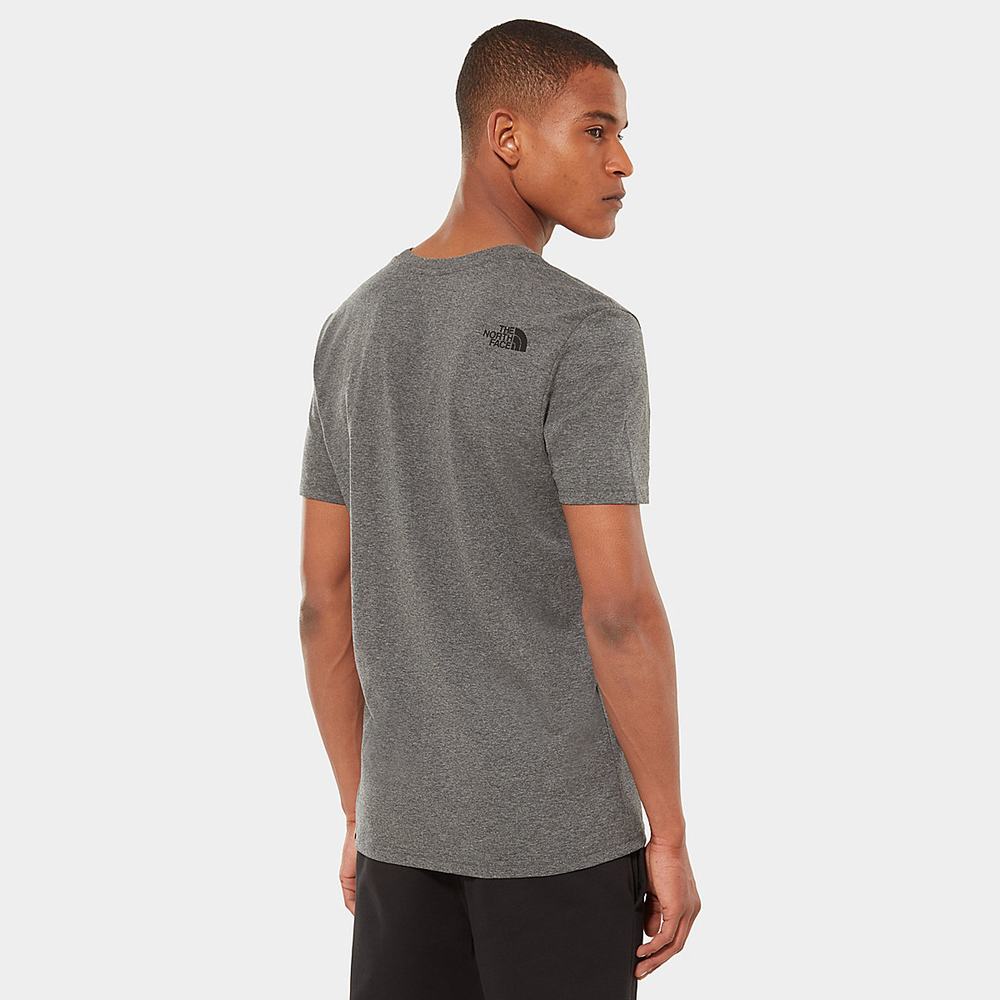 Tricko The North Face SIMPLE DOME Panske Siva | SVZ-071425