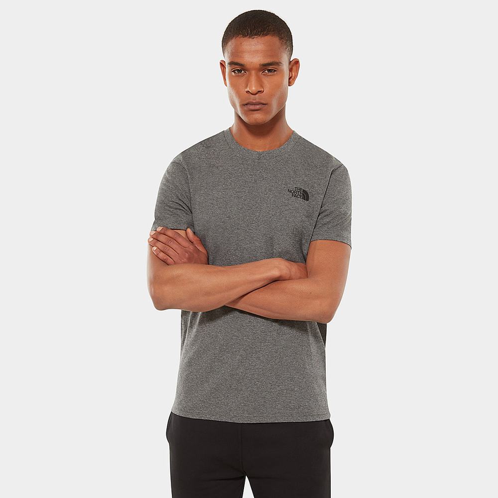 Tricko The North Face SIMPLE DOME Panske Siva | SVZ-071425