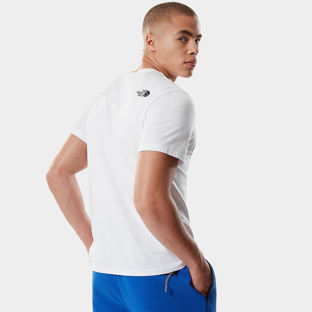 Tricko The North Face Standard Panske Biele | GHN-236175