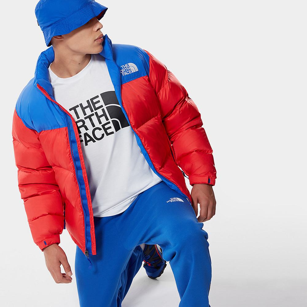 Tricko The North Face Standard Panske Biele | GHN-236175