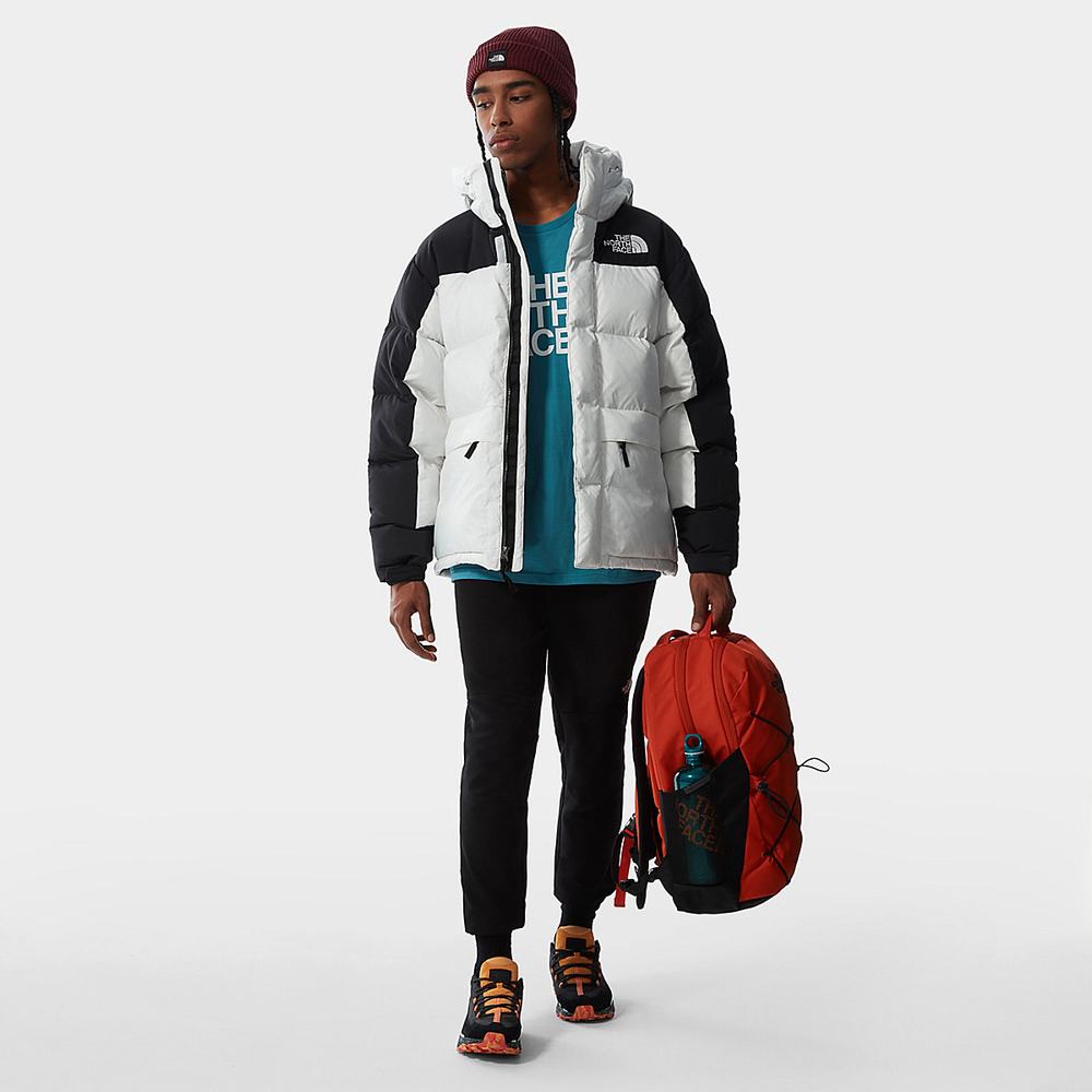 Tricko The North Face Standard Panske Modre | EPC-340796