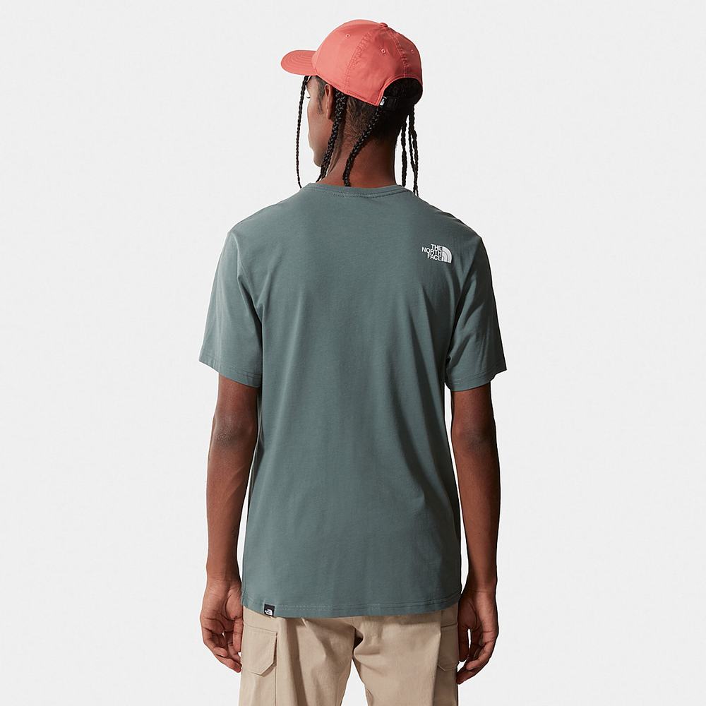 Tricko The North Face Standard Panske Zelene | QFP-204589