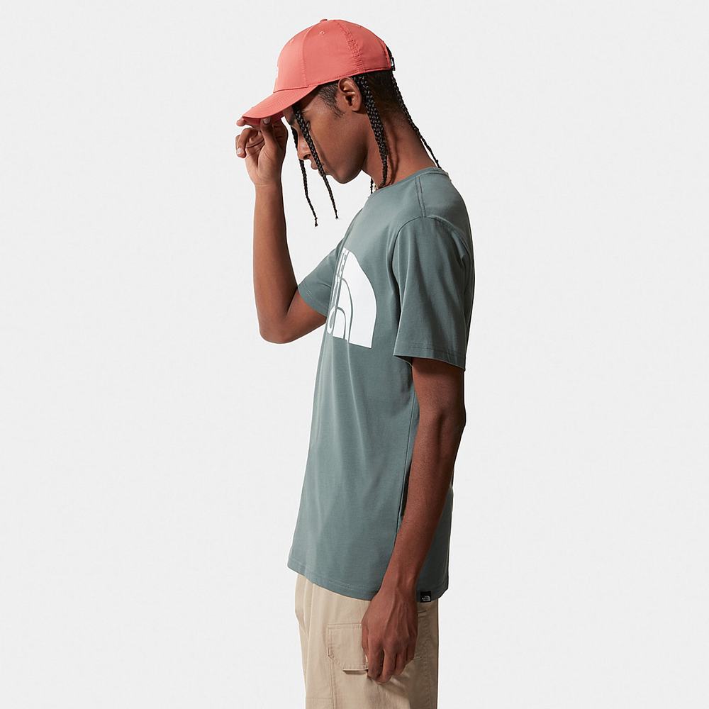 Tricko The North Face Standard Panske Zelene | QFP-204589