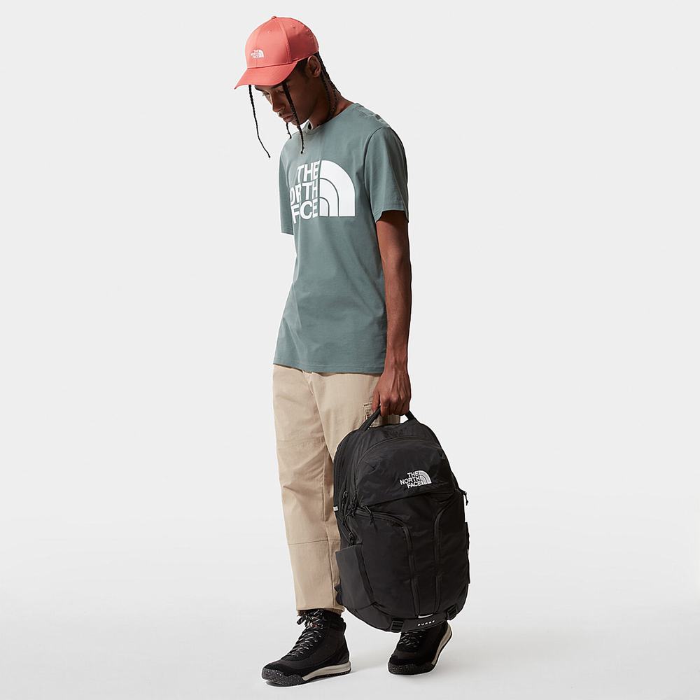 Tricko The North Face Standard Panske Zelene | QFP-204589