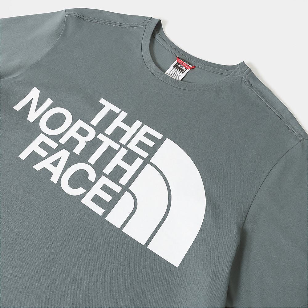 Tricko The North Face Standard Panske Zelene | QFP-204589