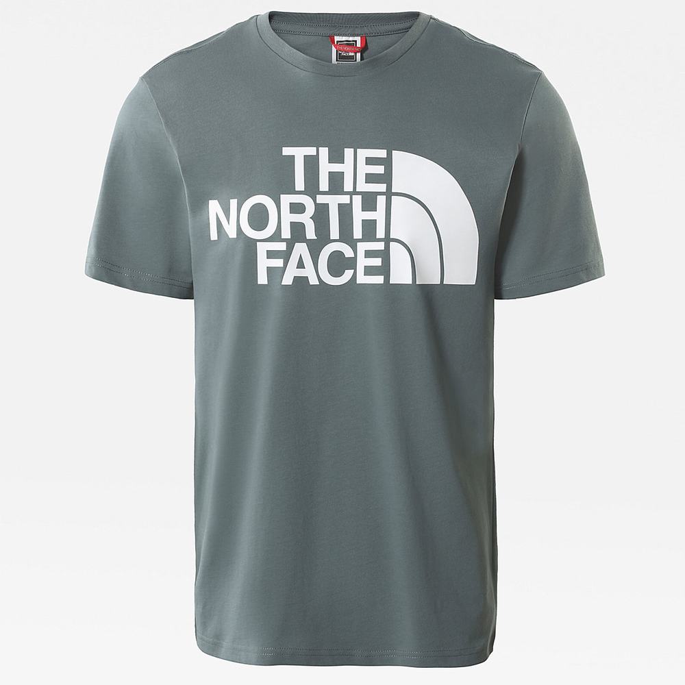 Tricko The North Face Standard Panske Zelene | QFP-204589