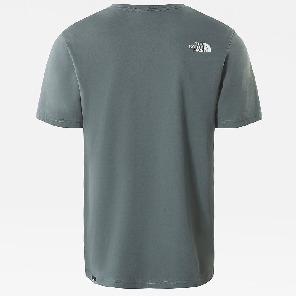 Tricko The North Face Standard Panske Zelene | QFP-204589