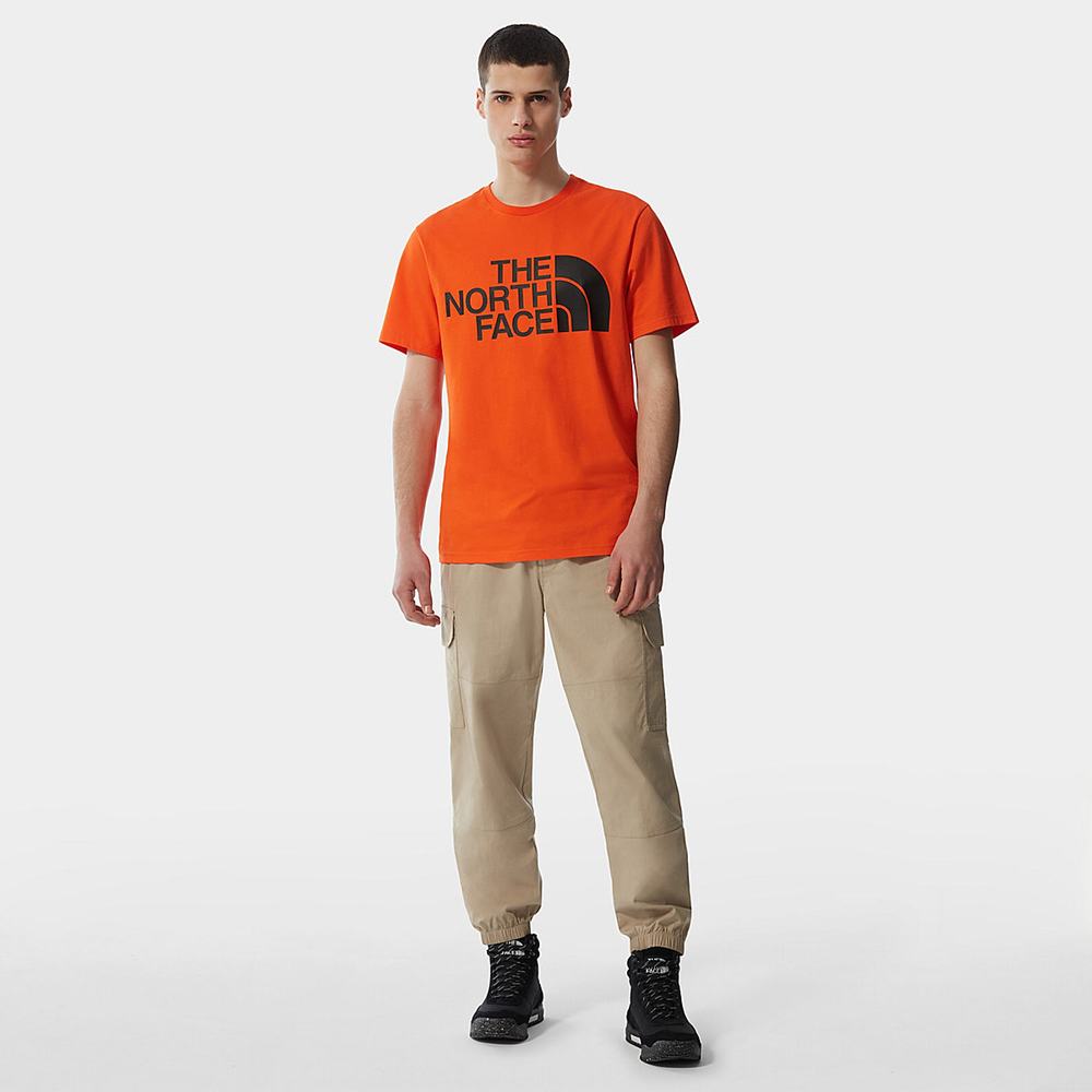 Tricko The North Face Standard Panske Červené Oranžové | PBG-493021