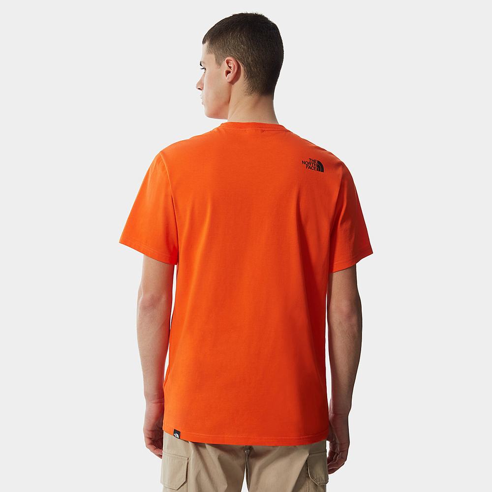 Tricko The North Face Standard Panske Červené Oranžové | PBG-493021