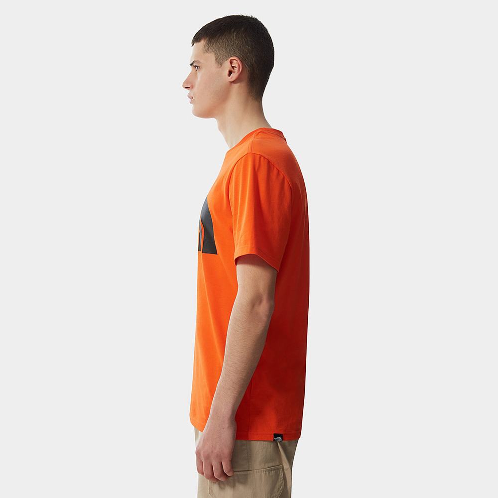 Tricko The North Face Standard Panske Červené Oranžové | PBG-493021
