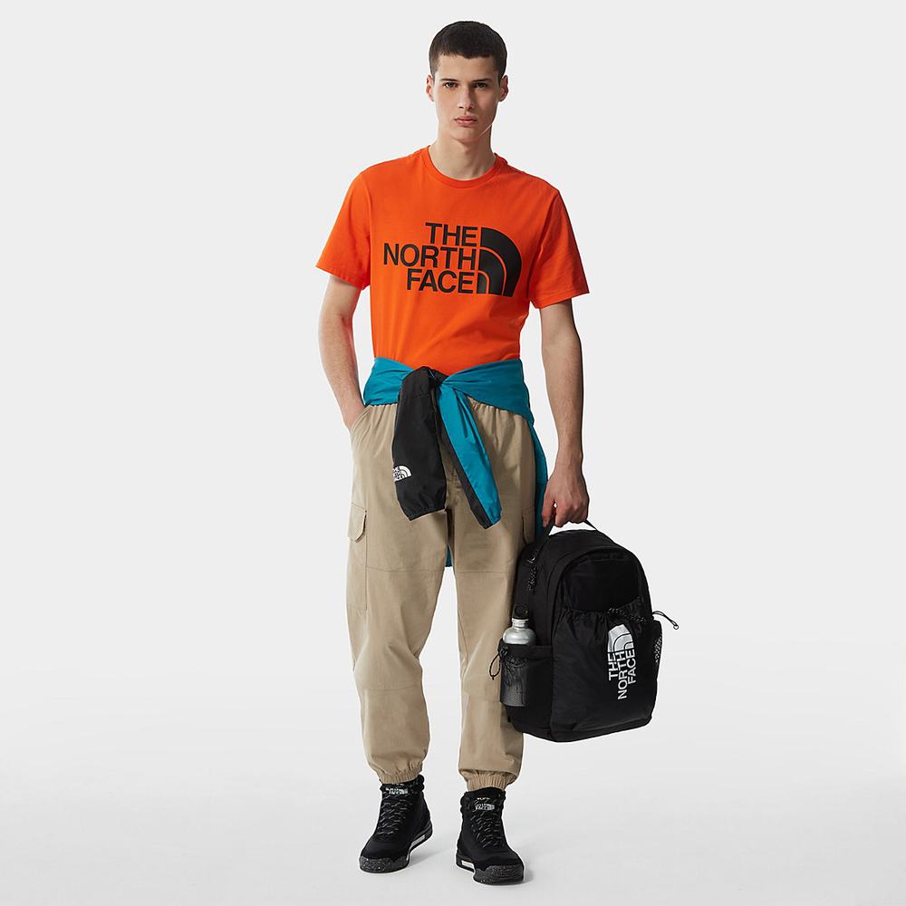 Tricko The North Face Standard Panske Červené Oranžové | PBG-493021
