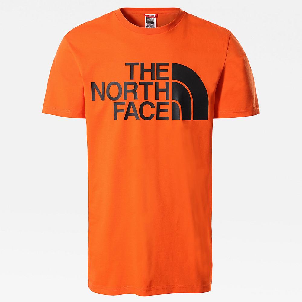 Tricko The North Face Standard Panske Červené Oranžové | PBG-493021