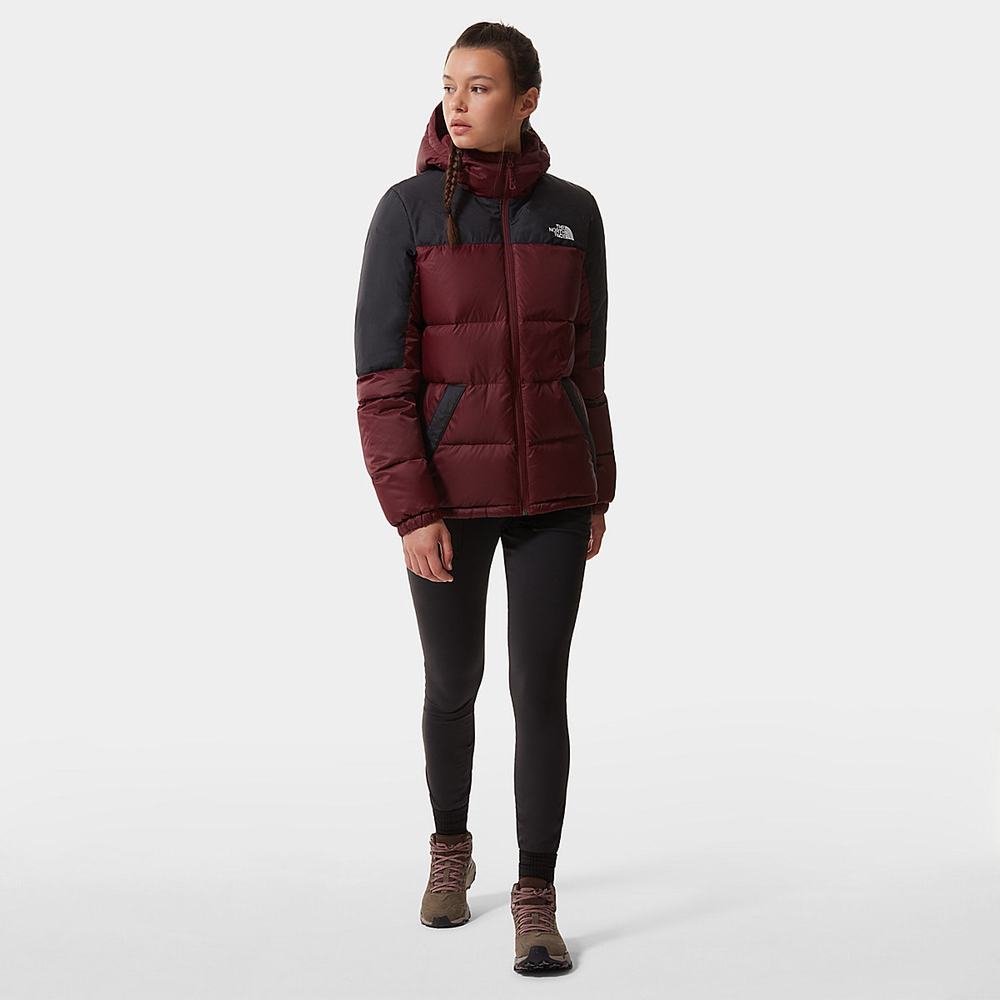 Turisticka Obuv The North Face VECTIV™ FUTURELIGHT™ Exploris Kozene Damske Hnede Káva Hnede | KTF-376890
