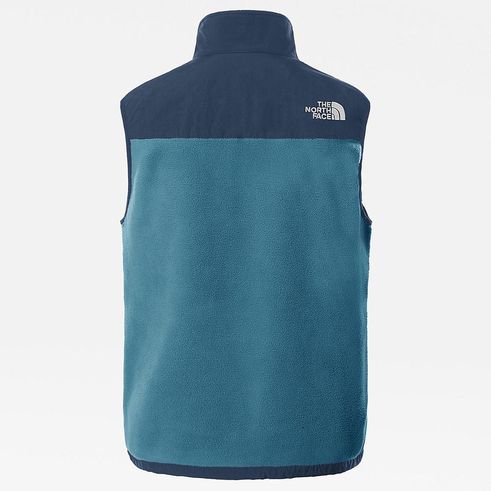 Vesty The North Face Denali Panske Modre | QBW-105786