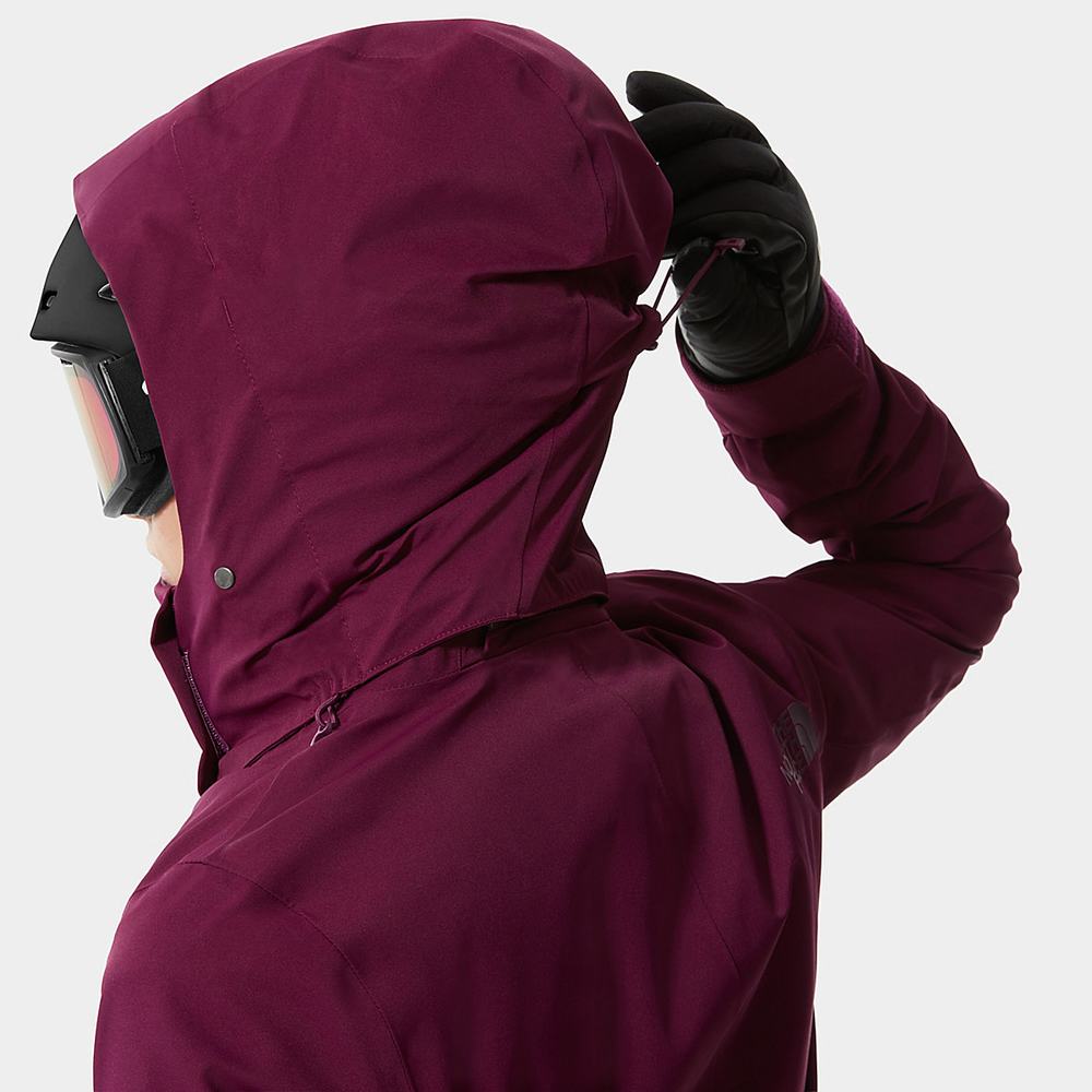 Vetrovka The North Face Lenado Damske Nachový | SFM-976513