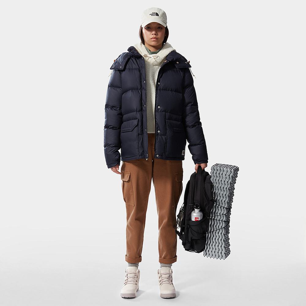 Zimne Topanky The North Face Sierra Damske Biele Strieborne Siva | PKW-571348