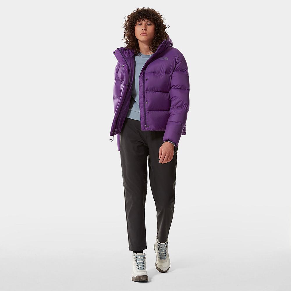 Zimní Bundy The North Face City Standard Damske Nachový | NXI-486390