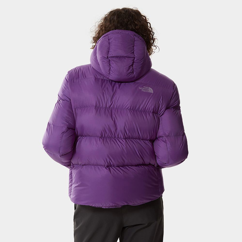 Zimní Bundy The North Face City Standard Damske Nachový | NXI-486390