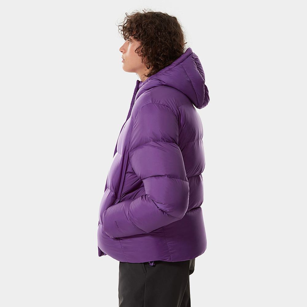 Zimní Bundy The North Face City Standard Damske Nachový | NXI-486390