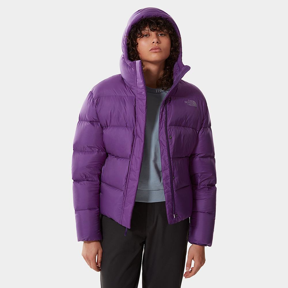 Zimní Bundy The North Face City Standard Damske Nachový | NXI-486390