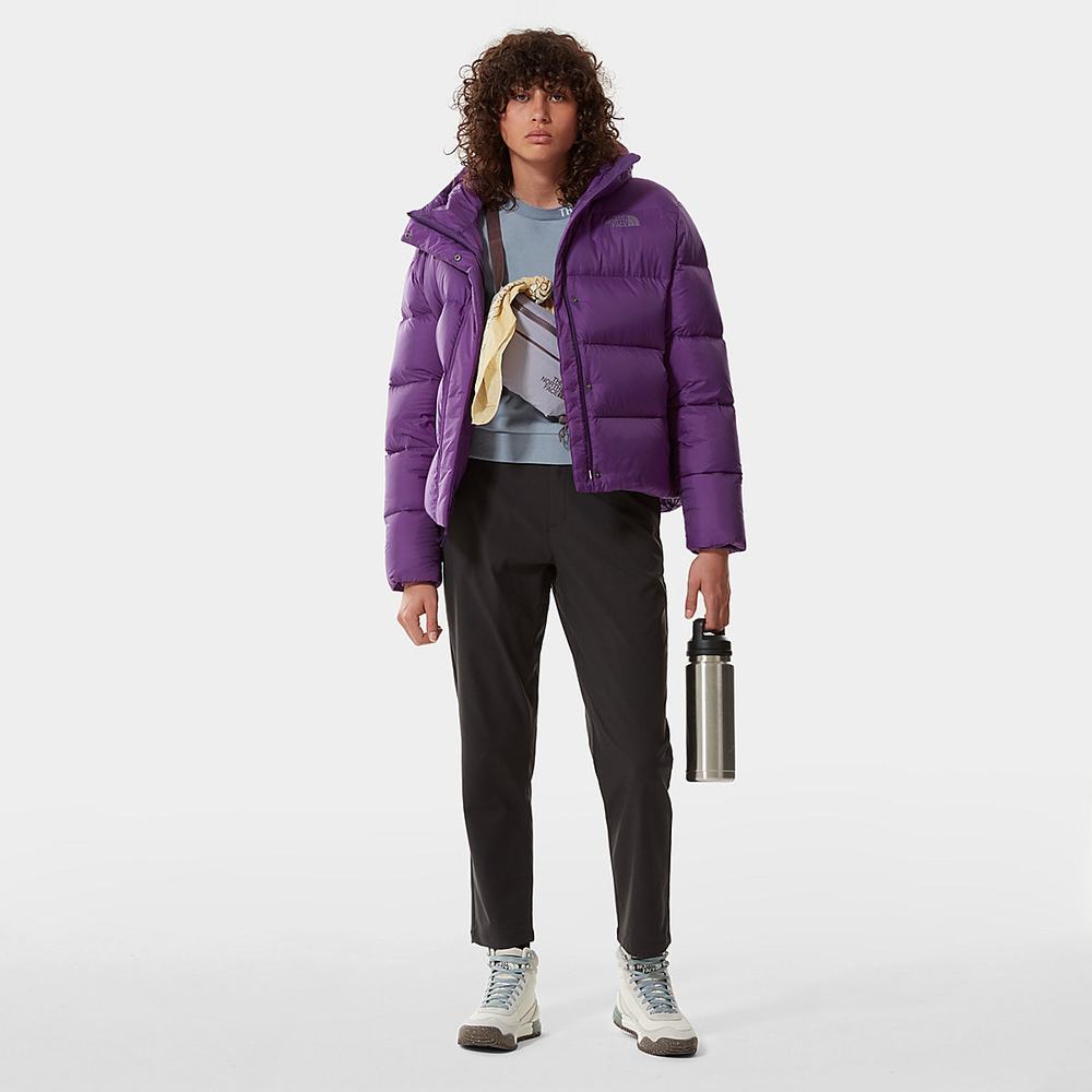 Zimní Bundy The North Face City Standard Damske Nachový | NXI-486390
