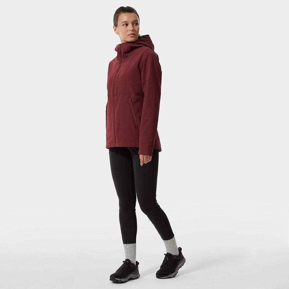 Ľahké Bundy The North Face Shelbe Raschel Damske Červené | WGV-478962