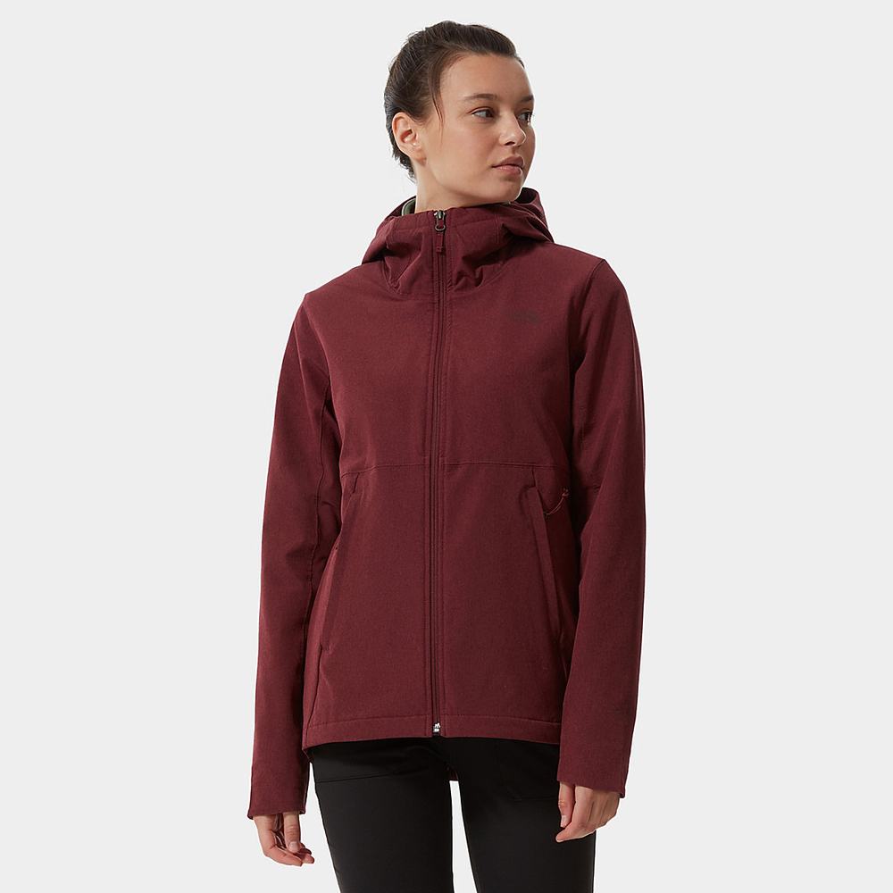 Ľahké Bundy The North Face Shelbe Raschel Damske Červené | WGV-478962