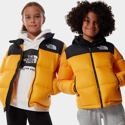 Bundy The North Face 1996 Retro Nuptse Dievcenske Zlate | RMJ-436972