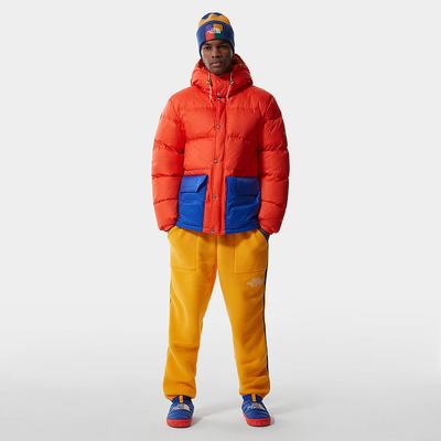 Jogger Nohavice The North Face COLOUR BLOCK FLEECE Panske Zlate Modre Zelene | NUV-194385