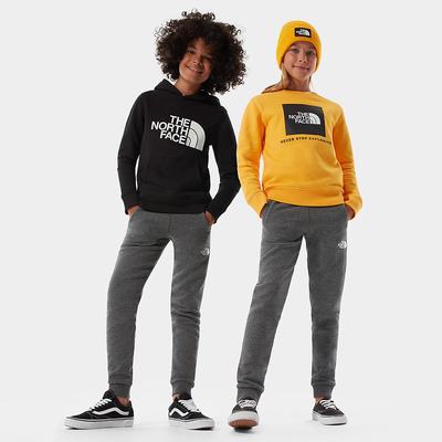 Jogger Nohavice The North Face Fleece Chlapcenske Siva Biele | DKR-480765