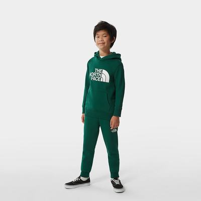 Jogger Nohavice The North Face Fleece Chlapcenske Zelene Biele | ILQ-962048